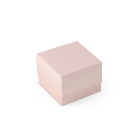 Schöne Geschenkbox mit Deckel und Schleife