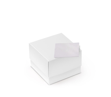 Bonita Caja Regalo con Tapa y Lazo Decorativo