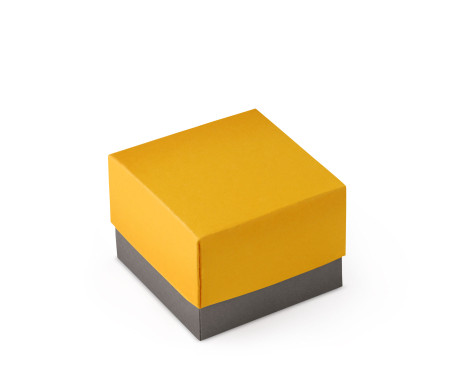 Graziosa Scatola Regalo con Coperchio e Fiocco Decorativo 