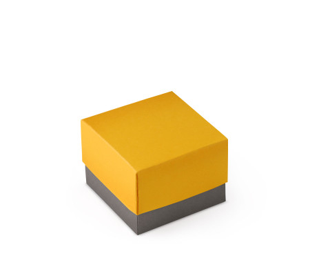 Bonita Caja Regalo con Tapa y Lazo Decorativo
