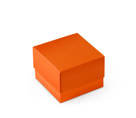 Bonita Caja Regalo con Tapa y Lazo Decorativo