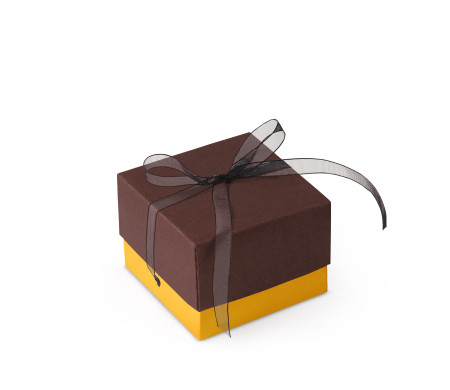 Bonita Caja Regalo con Tapa y Lazo Decorativo
