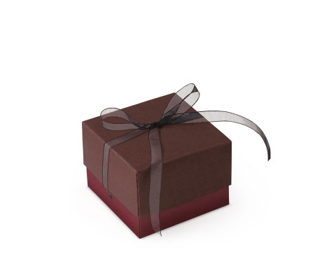 Bonita Caja Regalo con Tapa y Lazo Decorativo