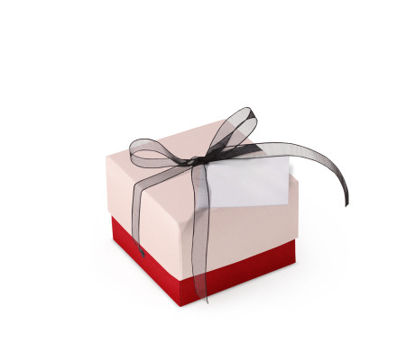 Graziosa Scatola Regalo con Coperchio e Fiocco Decorativo 