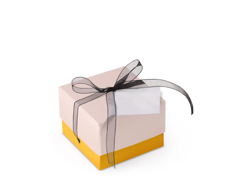 Bonita Caja Regalo con Tapa y Lazo Decorativo
