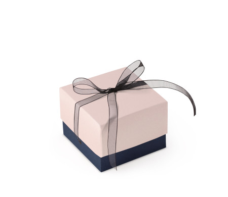 Bonita Caja Regalo con Tapa y Lazo Decorativo