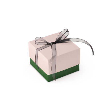 Bonita Caja Regalo con Tapa y Lazo Decorativo