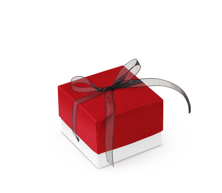 Graziosa Scatola Regalo con Coperchio e Fiocco Decorativo 