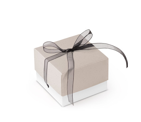 Bonita Caja Regalo con Tapa y Lazo Decorativo