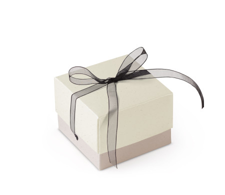 Schöne Geschenkbox mit Deckel und Schleife