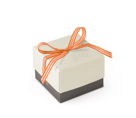 Jolie Boîte Cadeau avec Fermeture et Noeud Décoratif