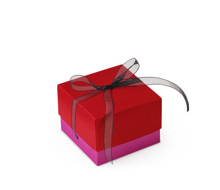 Bonita Caja Regalo con Tapa y Lazo Decorativo