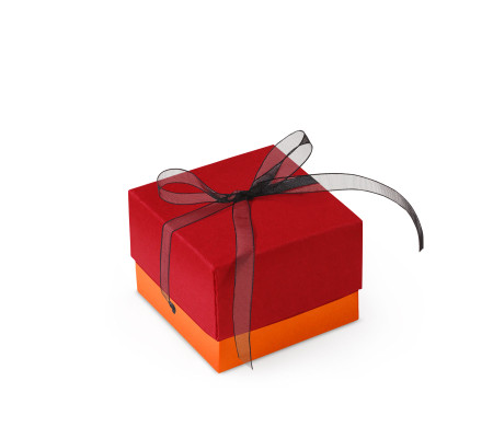 Graziosa Scatola Regalo con Coperchio e Fiocco Decorativo 