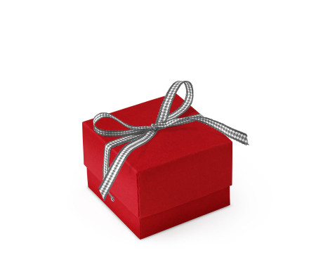 Graziosa Scatola Regalo con Coperchio e Fiocco Decorativo 