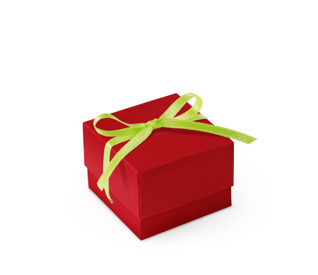 Bonita Caja Regalo con Tapa y Lazo Decorativo