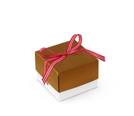 Jolie Boîte Cadeau avec Fermeture et Noeud Décoratif