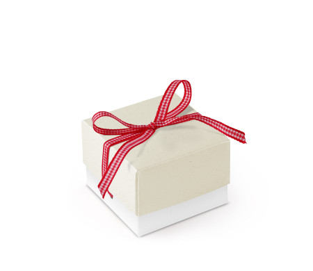 Bonita Caja Regalo con Tapa y Lazo Decorativo