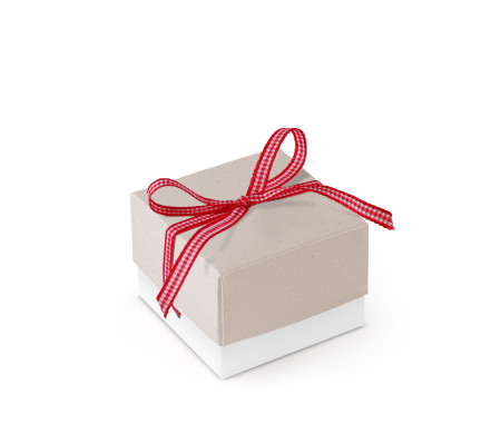 Schöne Geschenkbox mit Deckel und Schleife