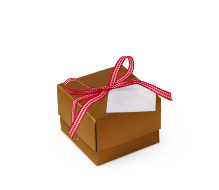 Bonita Caja Regalo con Tapa y Lazo Decorativo