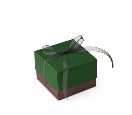 Bonita Caja Regalo con Tapa y Lazo Decorativo