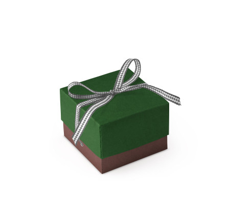 Schöne Geschenkbox mit Deckel und Schleife