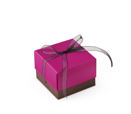 Bonita Caja Regalo con Tapa y Lazo Decorativo