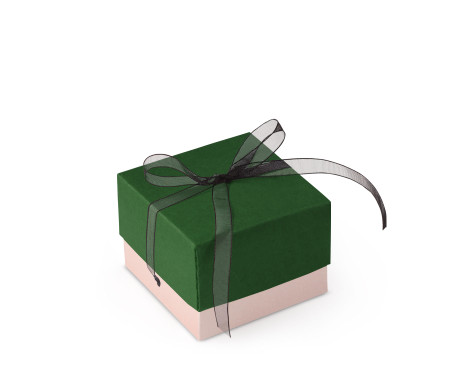 Bonita Caja Regalo con Tapa y Lazo Decorativo