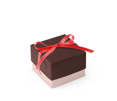 Jolie Boîte Cadeau avec Fermeture et Noeud Décoratif