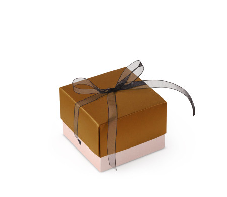 Bonita Caja Regalo con Tapa y Lazo Decorativo