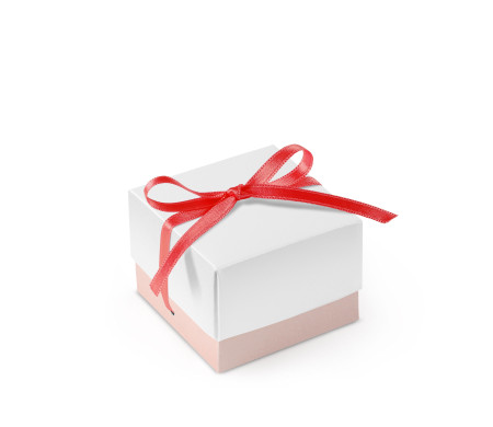 Bonita Caja Regalo con Tapa y Lazo Decorativo