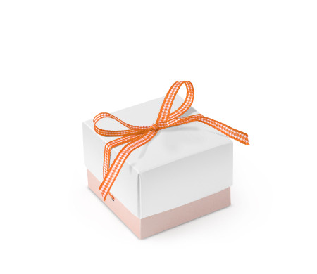 Bonita Caja Regalo con Tapa y Lazo Decorativo