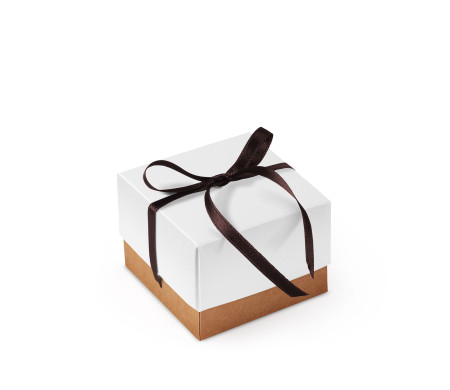 Bonita Caja Regalo con Tapa y Lazo Decorativo