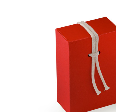 Scatola Regalo in Cartone con Un'Originalissima Chiusura