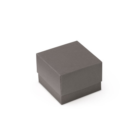 Schöne Geschenkbox mit Deckel und Schleife