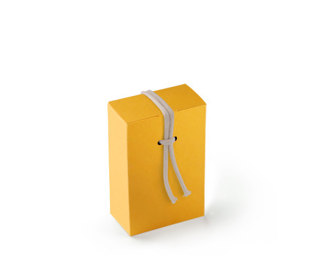 Boîte Cadeau en Carton avec Fermeture Originale