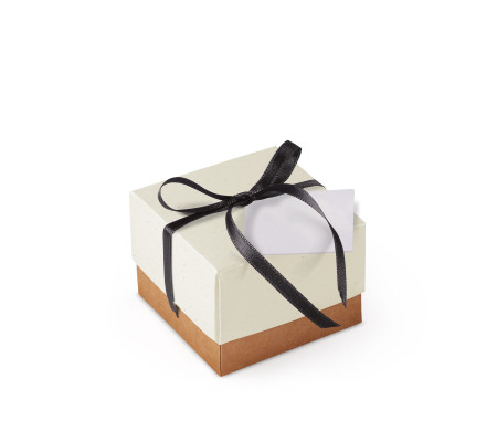 Jolie Boîte Cadeau avec Fermeture et Noeud Décoratif