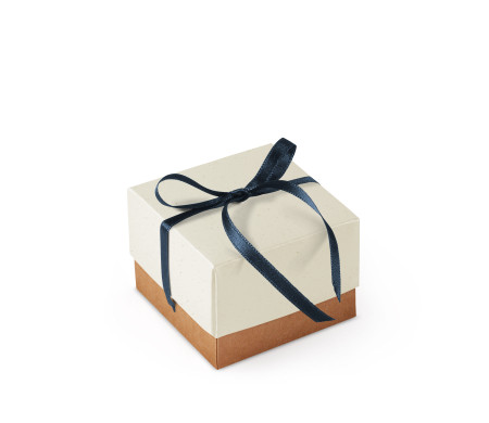 Jolie Boîte Cadeau avec Fermeture et Noeud Décoratif
