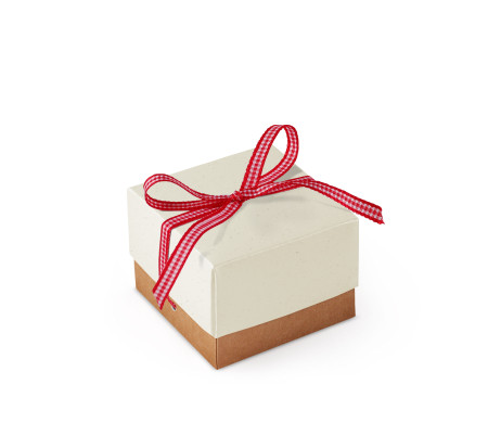 Jolie Boîte Cadeau avec Fermeture et Noeud Décoratif