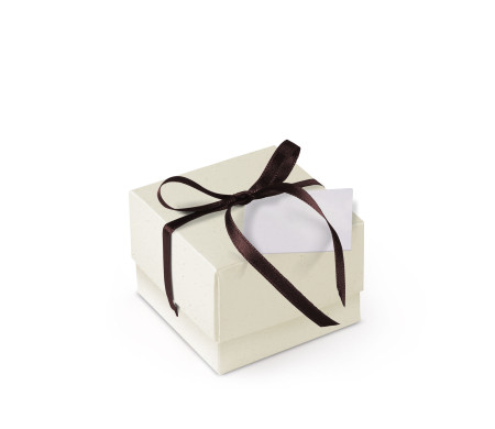 Bonita Caja Regalo con Tapa y Lazo Decorativo