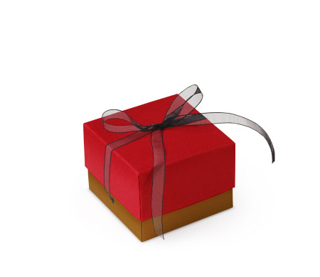 Schöne Geschenkbox mit Deckel und Schleife
