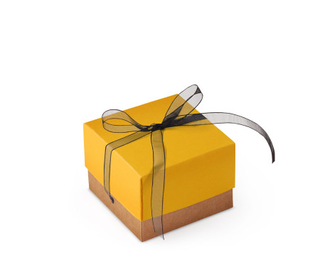 Bonita Caja Regalo con Tapa y Lazo Decorativo