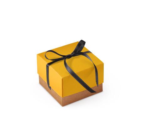 Schöne Geschenkbox mit Deckel und Schleife