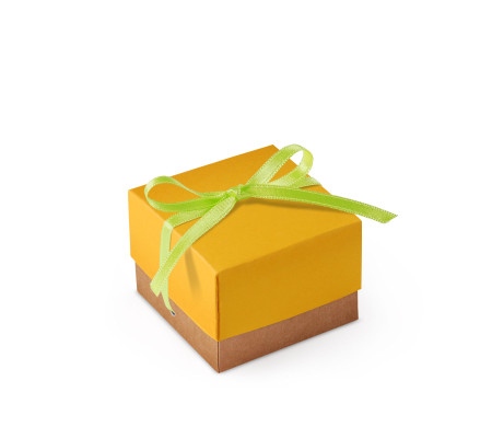 Bonita Caja Regalo con Tapa y Lazo Decorativo