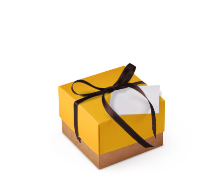 Graziosa Scatola Regalo con Coperchio e Fiocco Decorativo 