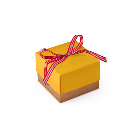 Graziosa Scatola Regalo con Coperchio e Fiocco Decorativo 