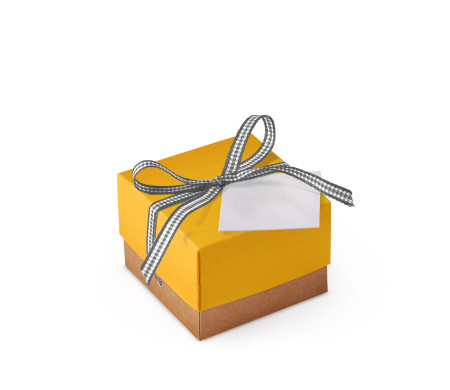 Jolie Boîte Cadeau avec Fermeture et Noeud Décoratif