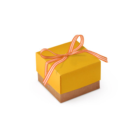 Bonita Caja Regalo con Tapa y Lazo Decorativo