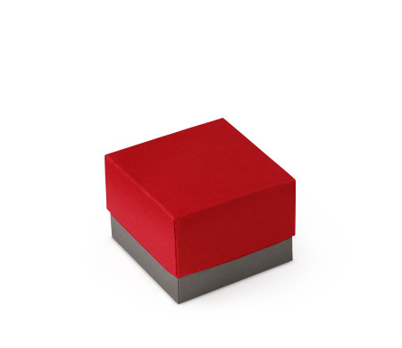 Bonita Caja Regalo con Tapa y Lazo Decorativo