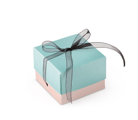 Bonita Caja Regalo con Tapa y Lazo Decorativo