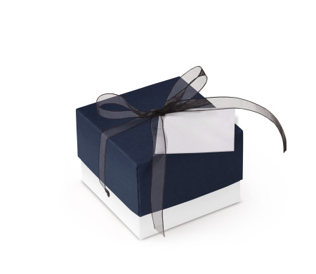 Bonita Caja Regalo con Tapa y Lazo Decorativo